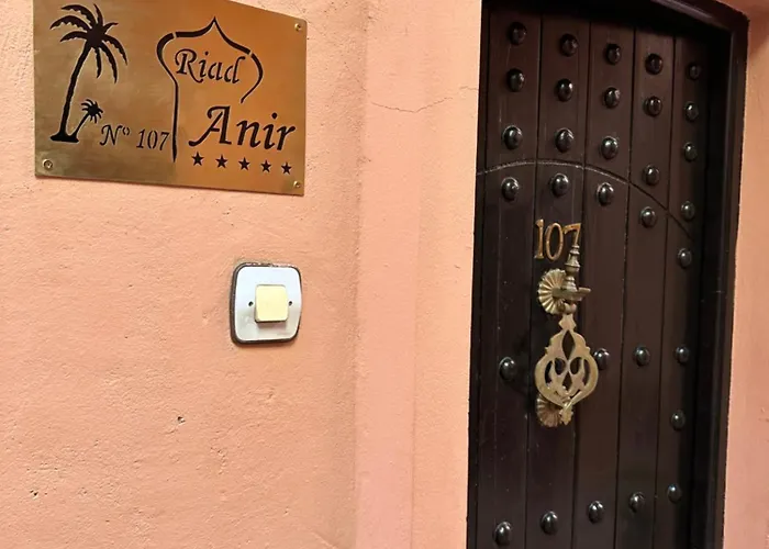 Riad Anir